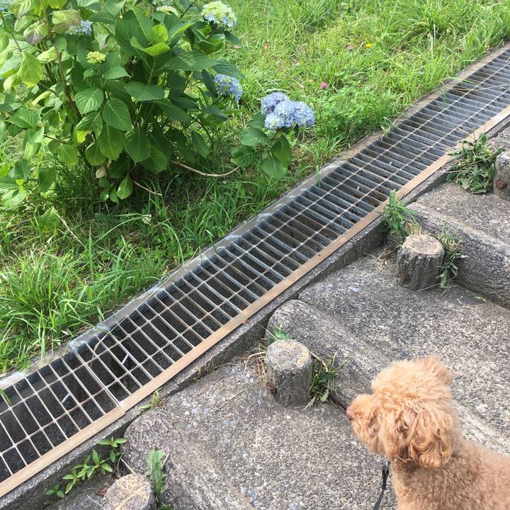 1acdc426 47d4 4545 af84 7df14fa4d5b6