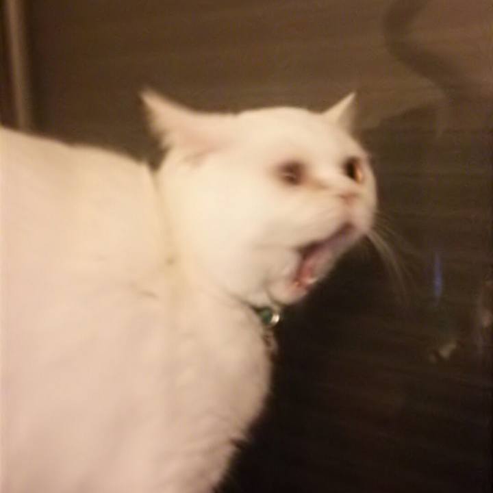 1acde506 4ab2 4706 8420 fb0a4ebb9471