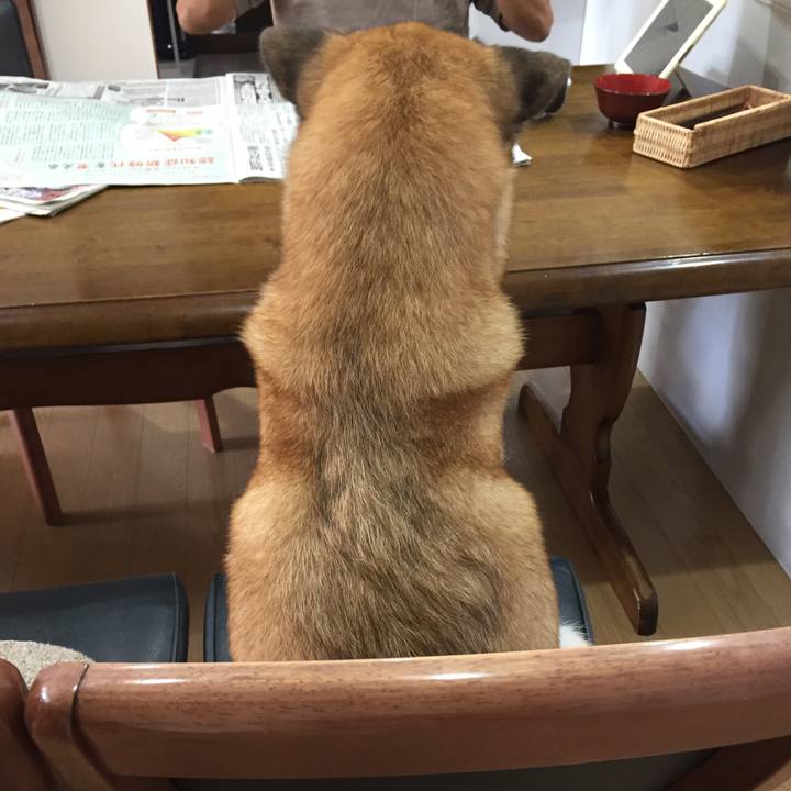 1aceb9e8 40f5 4c7a 8fc3 e88048e263af