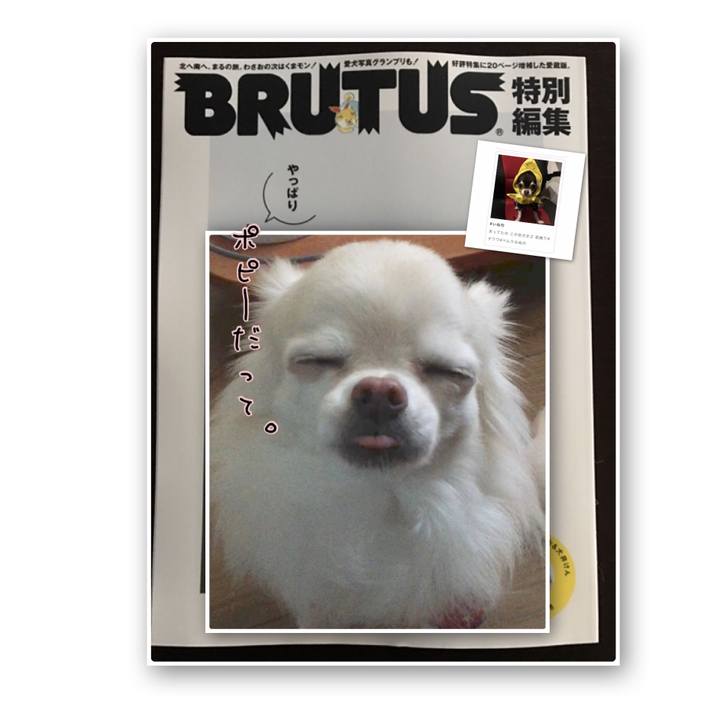 1acee46a d8e3 4780 be90 f19f6bd51332