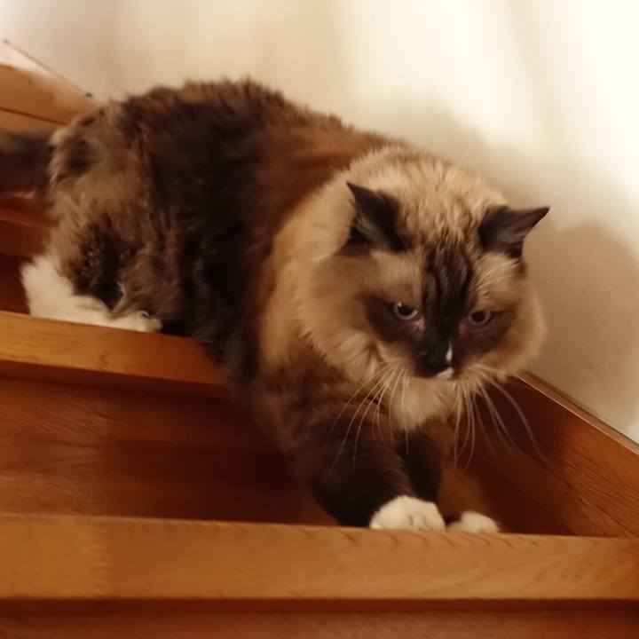 1acef108 cb3f 46af 949b be271bae24df