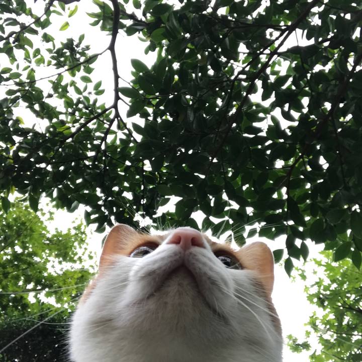 1acf2cd4 a3cc 4f29 a35c 0b1ff4c4fced