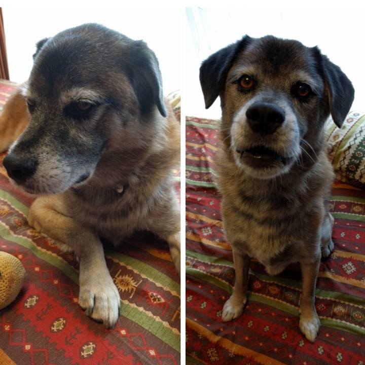 1acf300c b2d0 48b6 944a 4bad88534faa