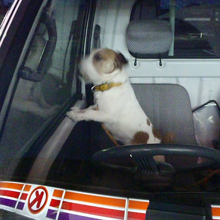 1acf30a2 67ba 4137 bea5 1fd785e70d56