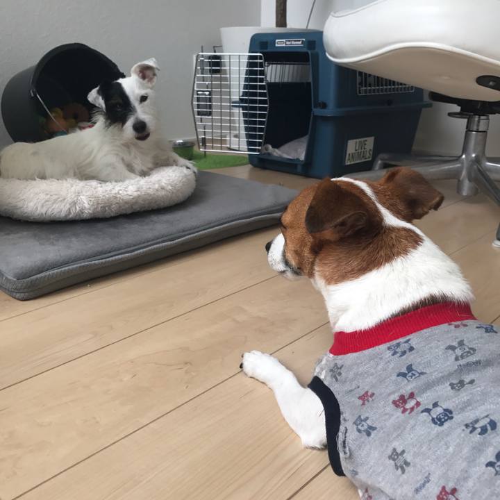 1acfa6ea 8a4d 4b90 867c 208c99c47208