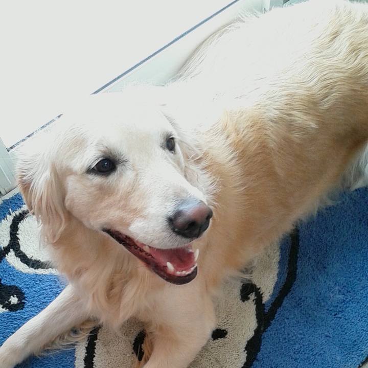 1acfeffe 1560 4359 9389 38f30daa9421