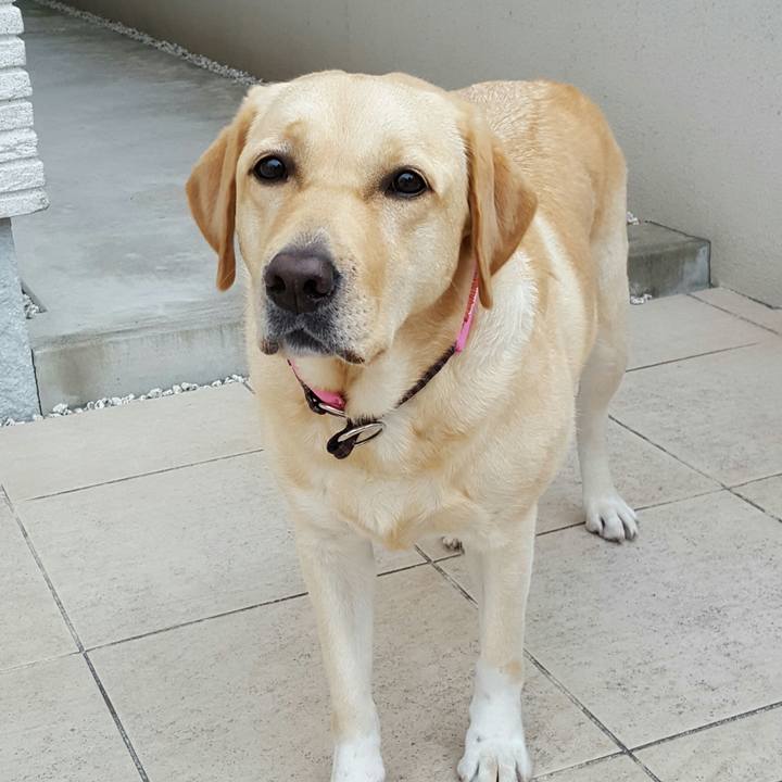 1ad02c55 2da8 4d2b ba7c 0a63c69efb12