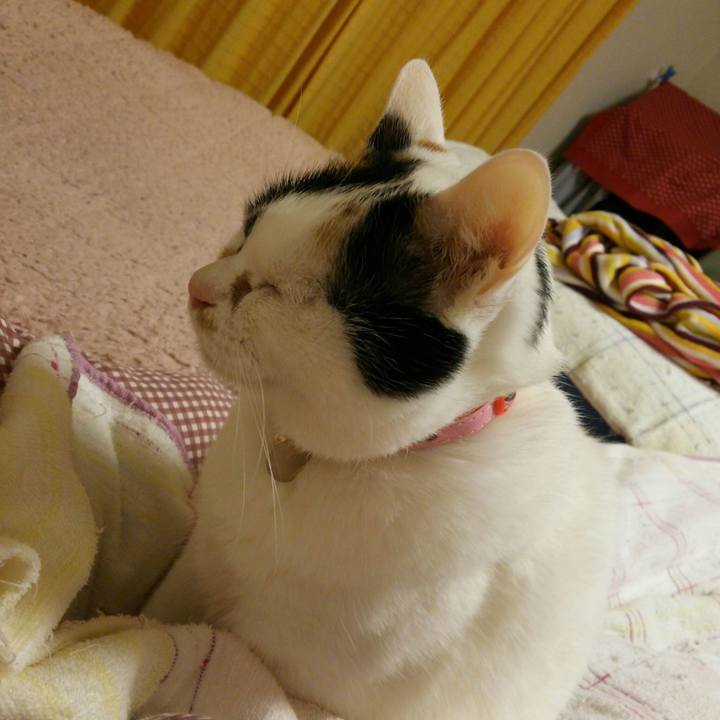 1ad041d9 8032 4f83 bf43 66a3ace09187