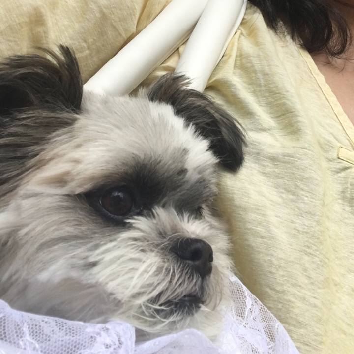 1ad09f0b 2919 4e61 a704 7c8b86dcb6e3