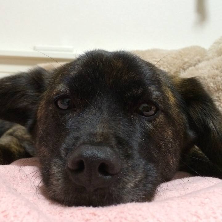 1ad185fc 1d00 4596 bc76 5d848d3f8c17