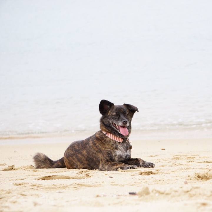 1ad20bb3 927f 45b5 b4f5 3efb1f965093