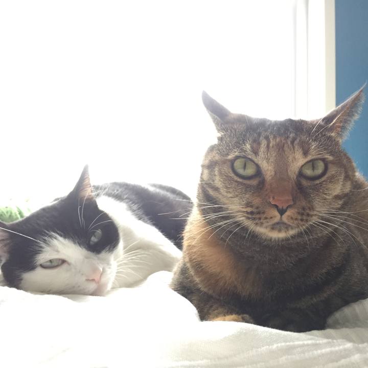 1ad26648 ecbb 44d6 aa65 f4bae398c464