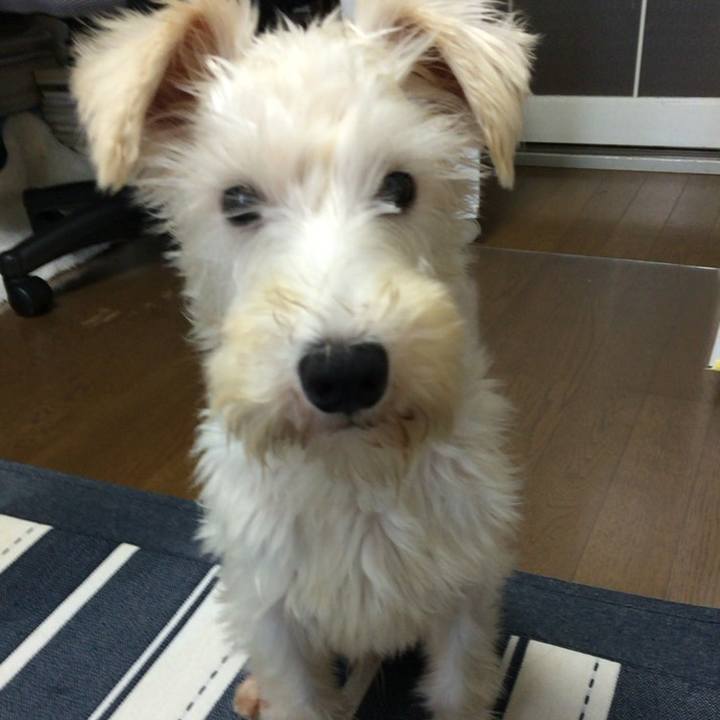 1ad2b24e 43fd 46f9 9de0 a3ef50580525