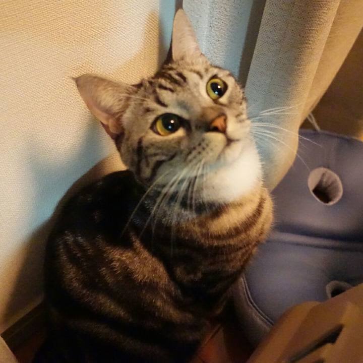 1ad35e72 efb0 4adf 9b21 6dba649be797