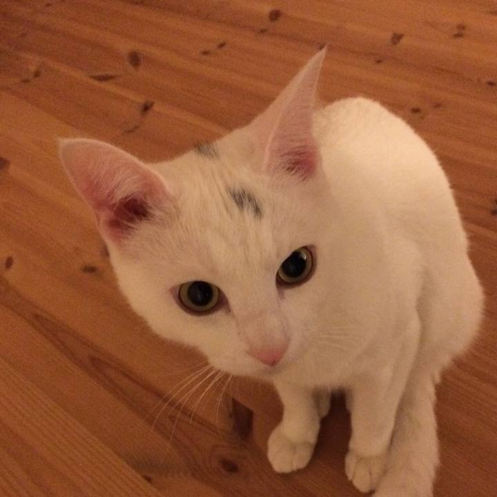 1ad37670 1818 4b09 b027 0bffc50c2659