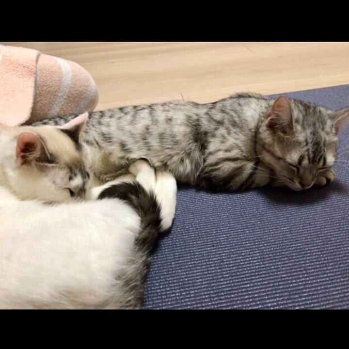 1ad4290f e83b 4043 a2d6 240c81638829