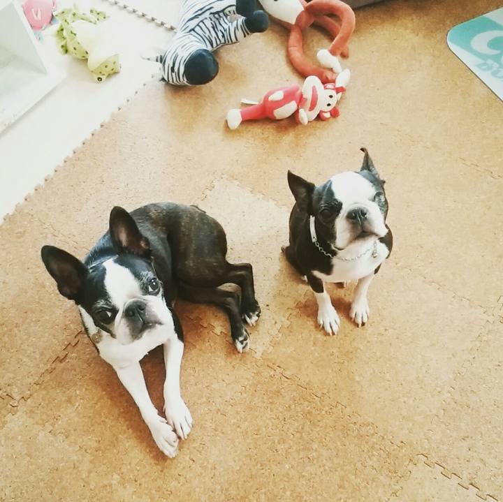 1ad479a4 8b1c 420c 9f5d 0486e7da7027