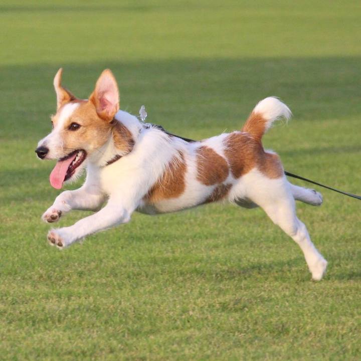 1ad52e78 1c39 430d 81c8 8e53c1f76eff