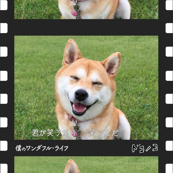 1ad5e473 d1ea 42c9 8a7c e1a1f125c261