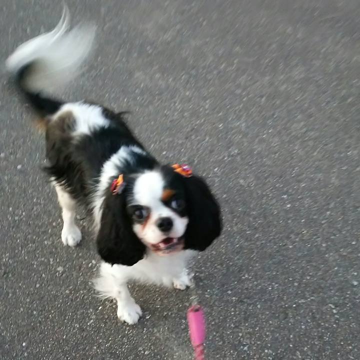 1ad6c745 3719 4b74 99c1 aa543d3c58ad