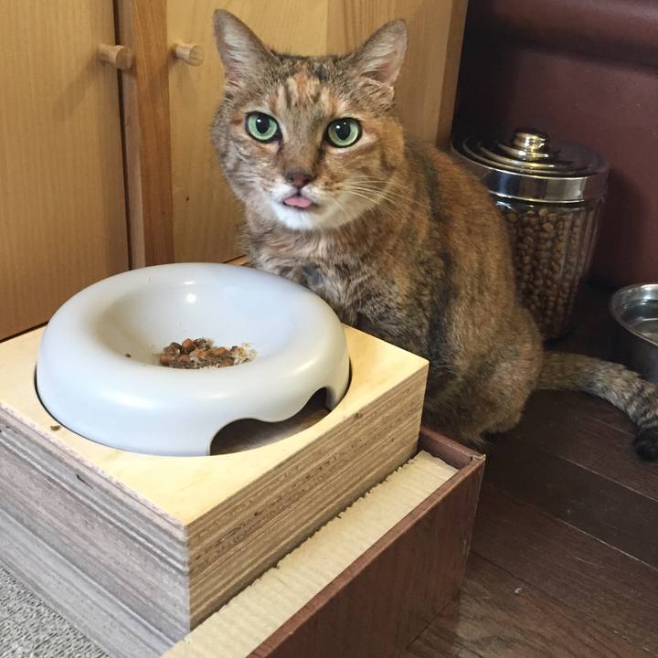 1ad6e500 5f1b 418f 951e b48b190cd790