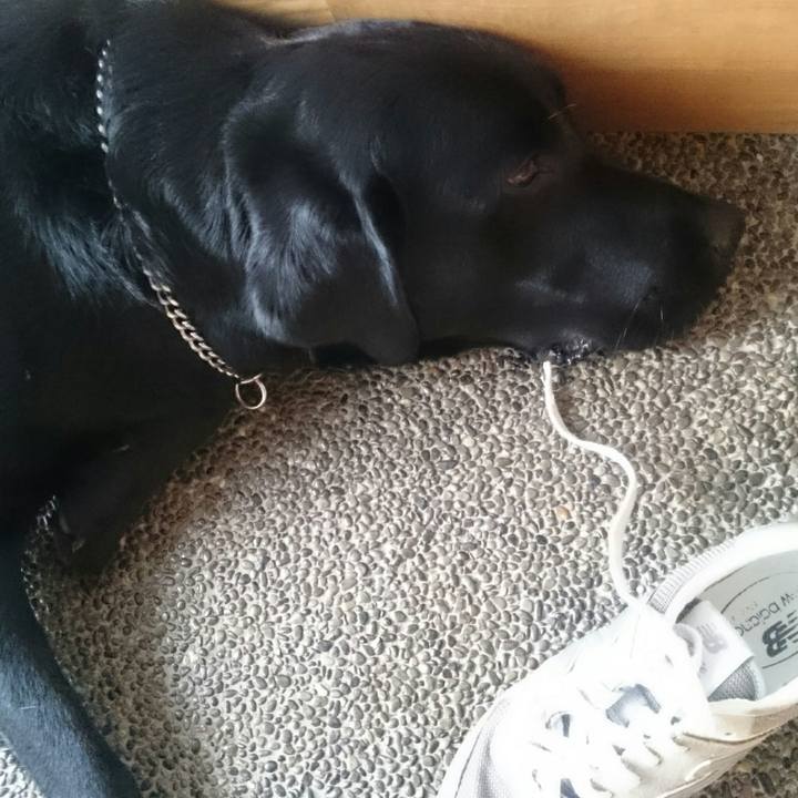 1ad6fb1b 7e91 4752 9923 654f0178ade4