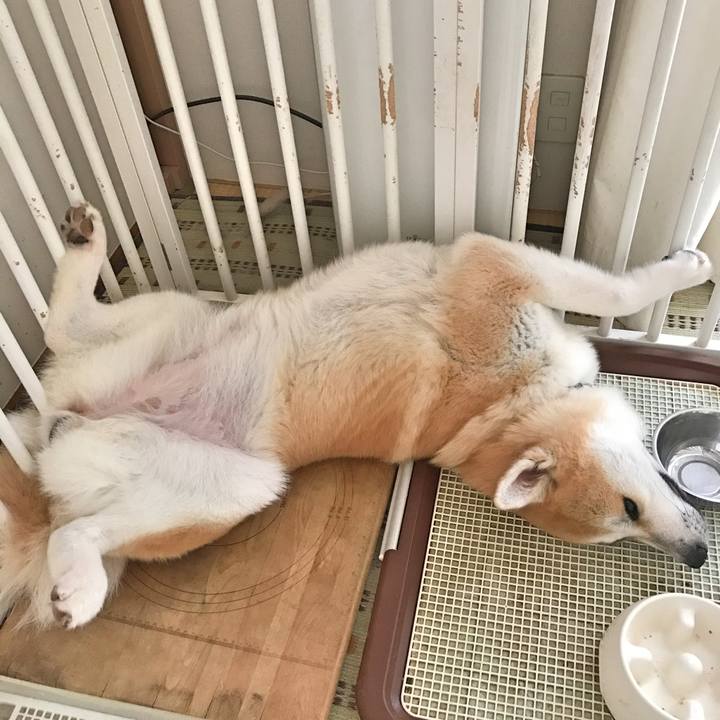 1ad713bf c8d4 4751 b38a 07012f8380c4