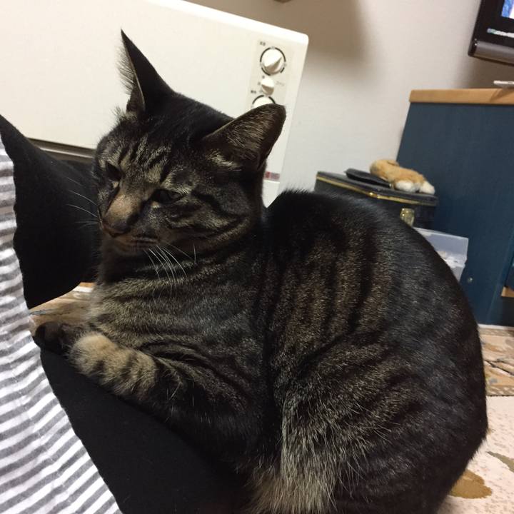 1ad82e2e 4ed5 46ed b1c7 075faca14d9e