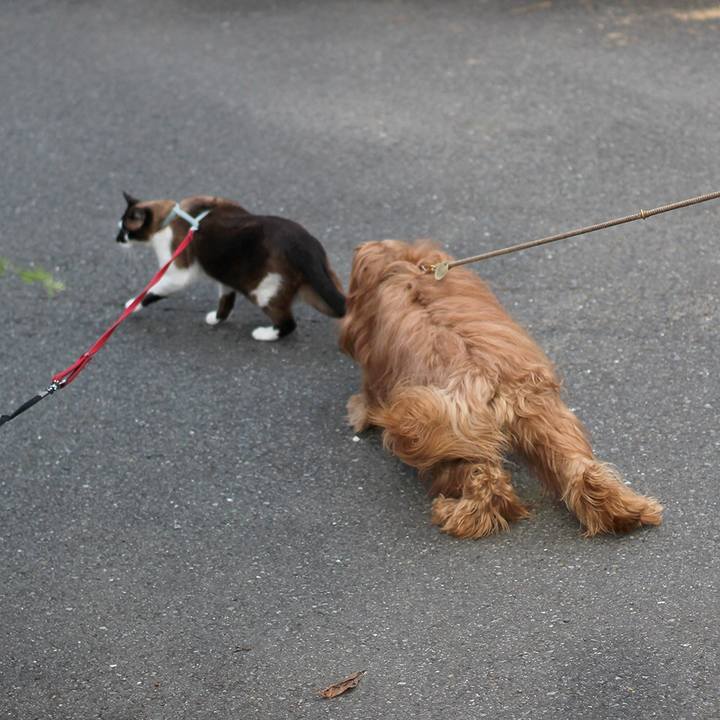 1ad8825a 2860 4b7d 9f7d bef55ef723d8