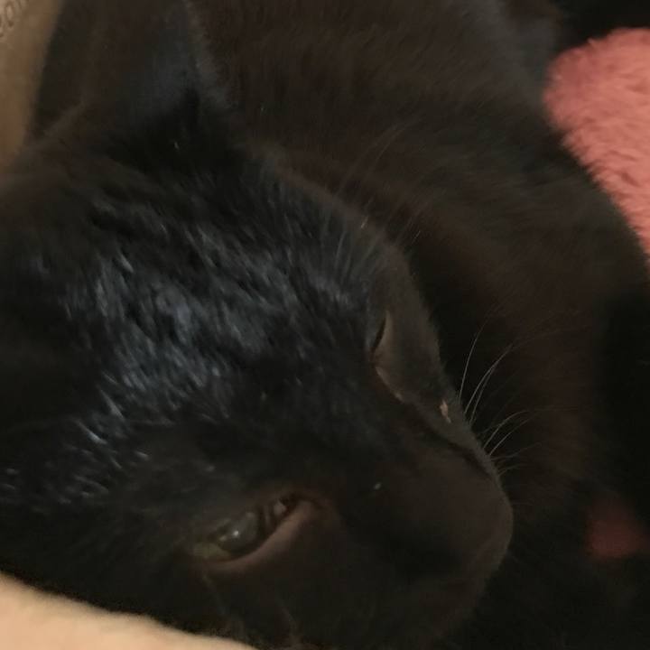 1ad890e7 0b9b 46be 8d15 3077a16f3364