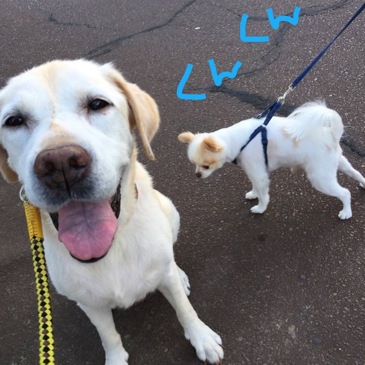 1ad89be8 e454 4d10 9ba4 9e52e7b88f1e