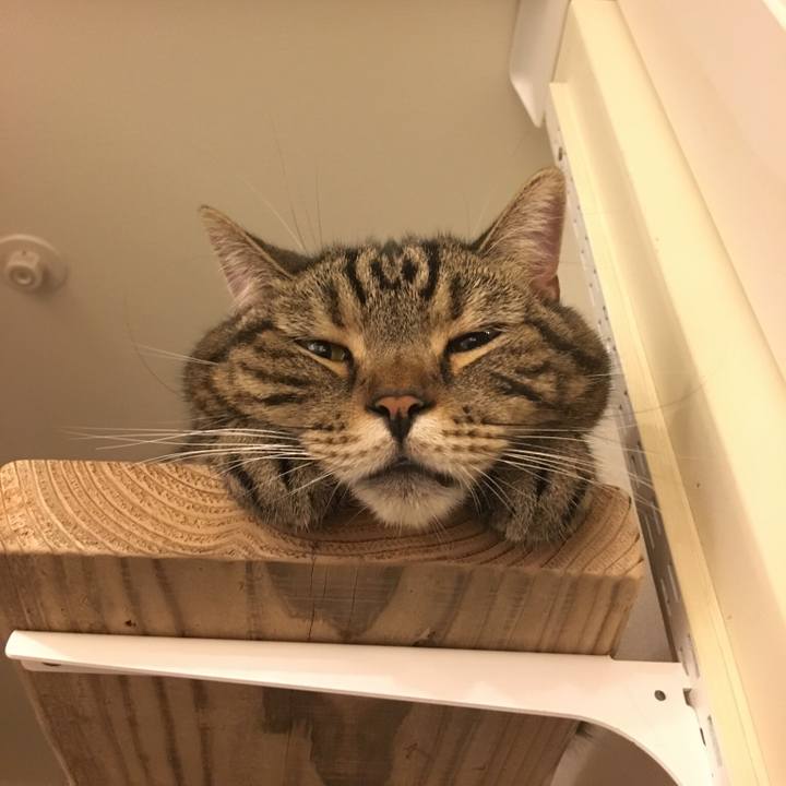 1ad8a243 ef42 4653 9e1b d120ccef643d