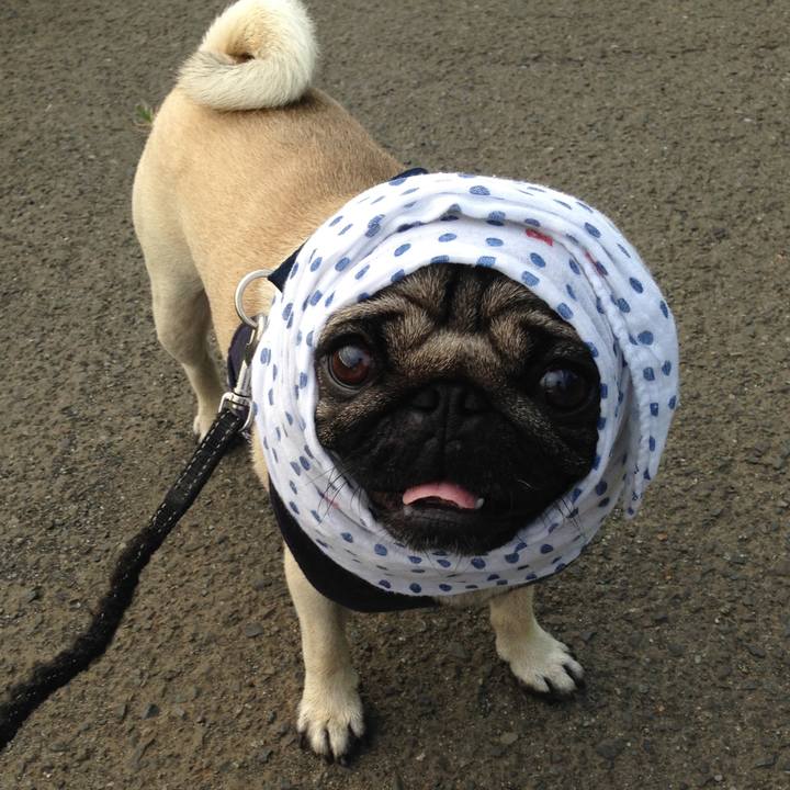 1ad8b0d5 3f37 41e3 b8f1 29cc8ec628d4