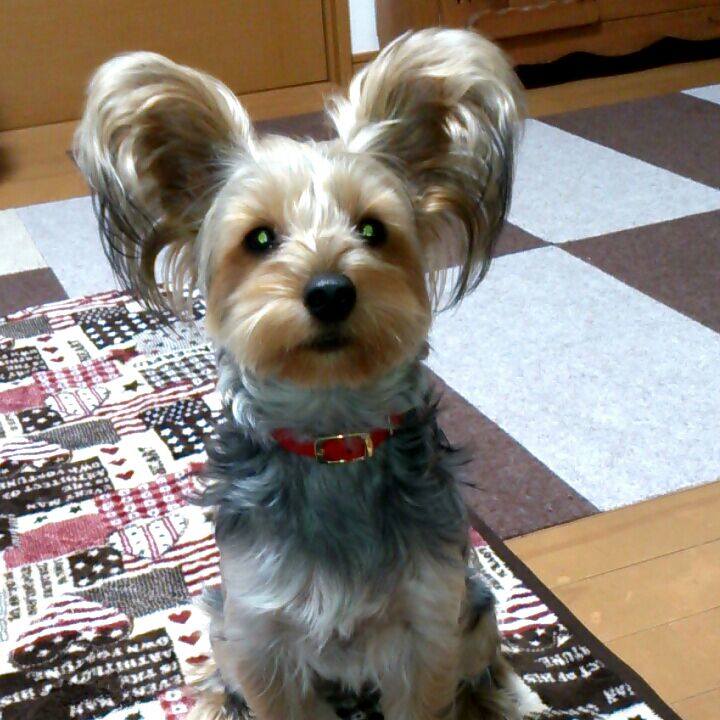 1ad8db87 6ea7 4fb9 8158 34d3231b9383