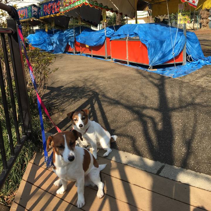 1ad93fe7 631c 4275 8bee 746743e44513