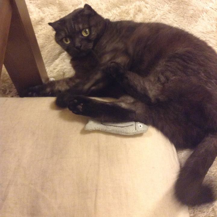 1ad97c46 1f09 4973 9b98 443243d66720