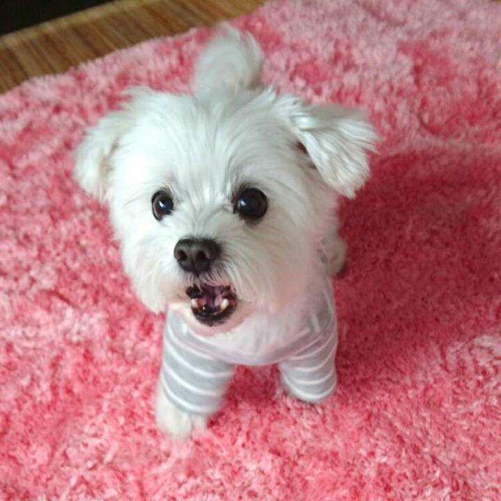 1ad9d081 88b6 4c44 beb2 fa8886f8ef05