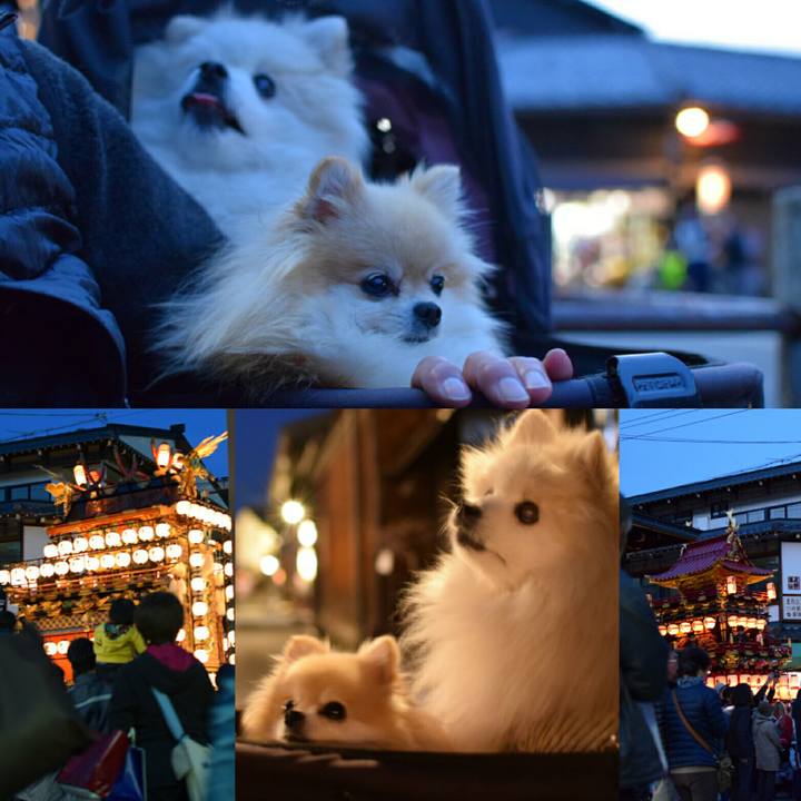 1adb6947 f7f3 4dc4 b1d5 fb6cc71a238c