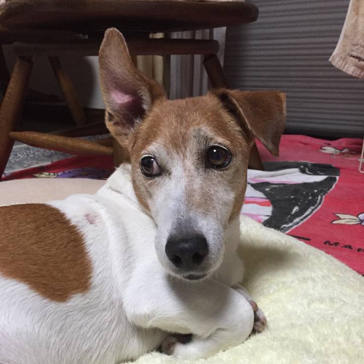 1adba83d a03b 4d07 b434 f02adf71d456