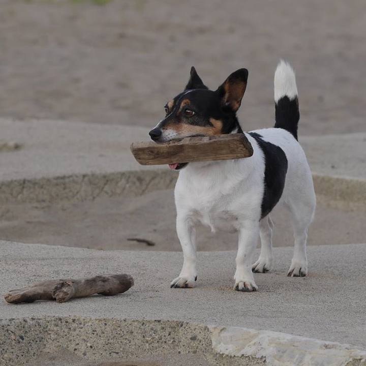 1adbd1d7 e7e2 49b5 956c 221ead631805