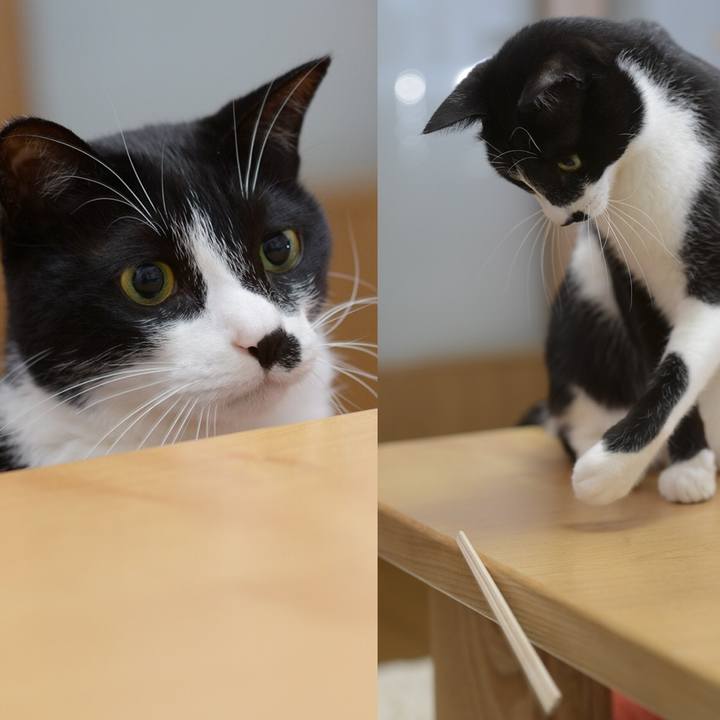 1adbe24e 7048 49a9 b9b4 12df9e7e52f2