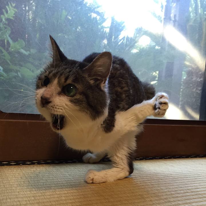 1adc1220 bdda 4e8d 9cf4 22f49dae1991