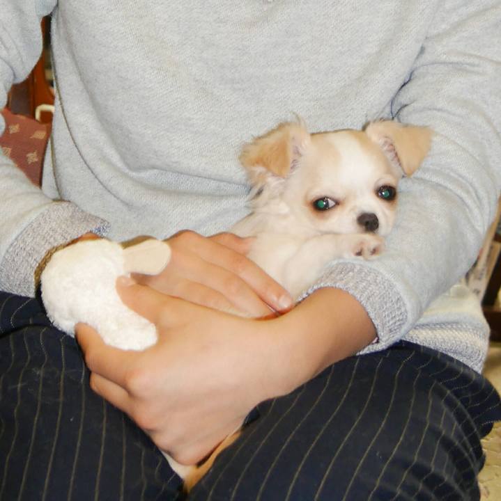 1adc1671 94f2 4749 a1db 0fefefe47e1d