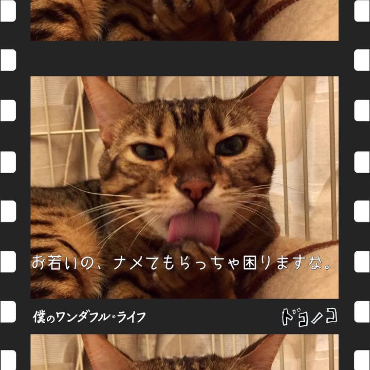 1adc3448 0d91 4615 8b13 141cf617de7c