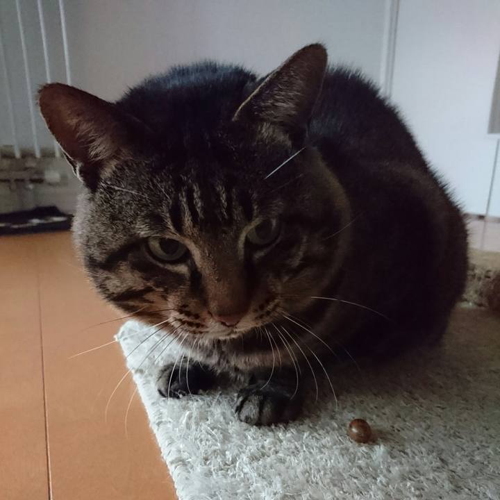 1adc414f 1985 4dd8 aed4 cfd53096f5aa