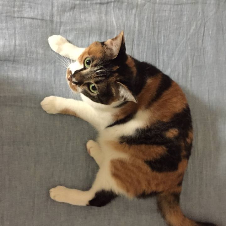 1adc7472 e421 49d4 8d42 386edad5a545