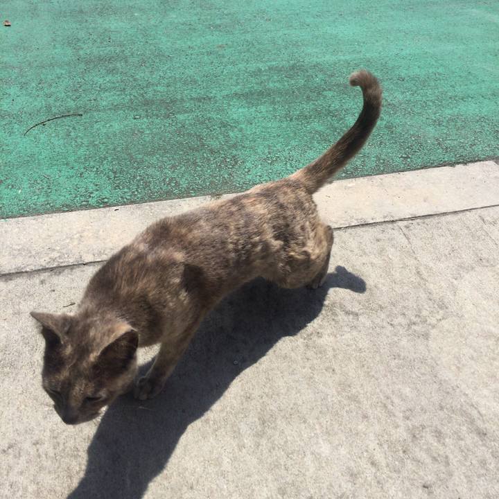 1adc90f7 d578 4ea3 9a17 880ef9e68b93