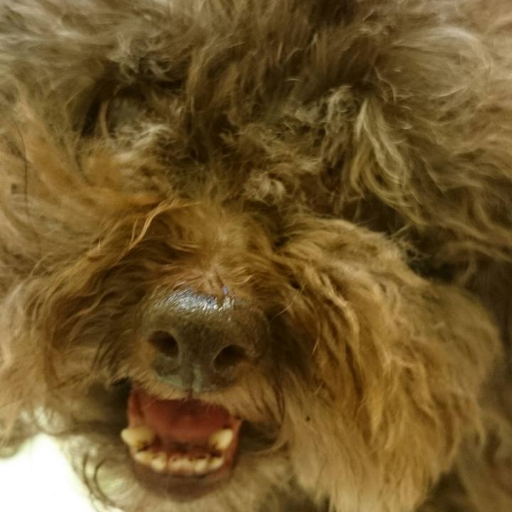 1adcab66 cc44 4b94 acf3 79aed22bba0b