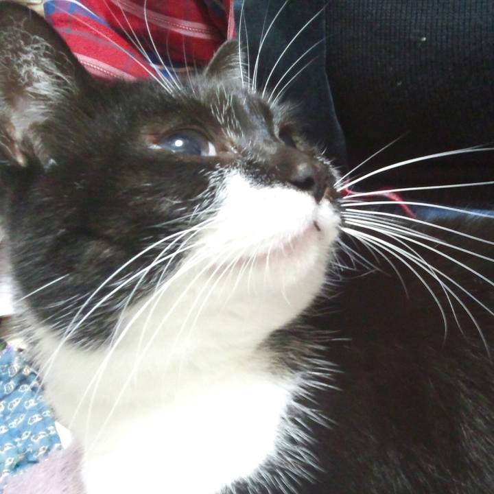 1adcabf9 50a9 42ca a87b 6f8b44e23bb1