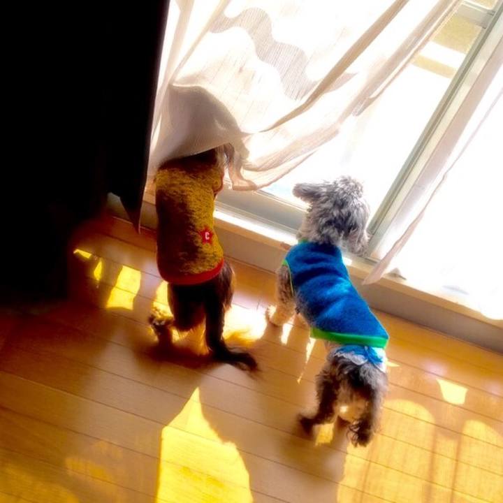 1adcd1f0 9d71 45ee b37e 4ad581be29ed